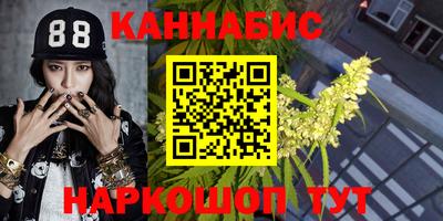 крисы Краснознаменск