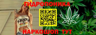 крисы Краснознаменск
